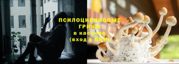 марки nbome Аркадак