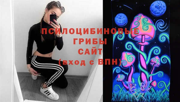mix Арсеньев