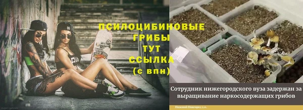 mix Арсеньев